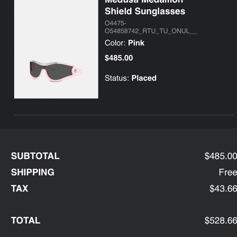 Versace Medusa Medallion Shield Sunglasses